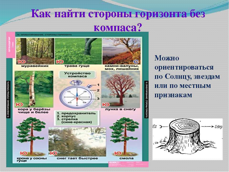 (решено) вы знаете адрес квартиры. как узнать, какой дом находится по этому адресу, его параметры? назовите, как можно больше вариантов…