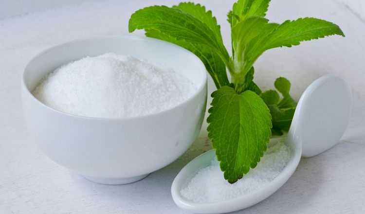 Стевия – что это такое и какая от неё польза?
