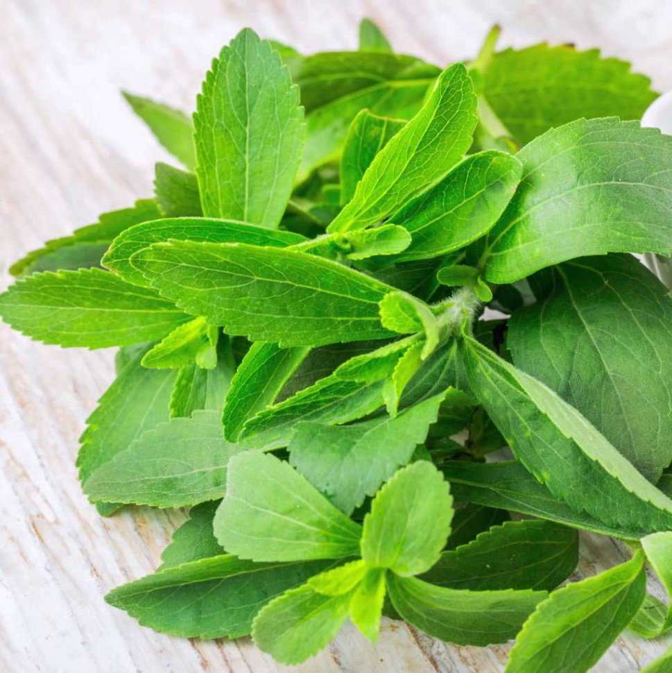 Натуральный подсластитель стевия