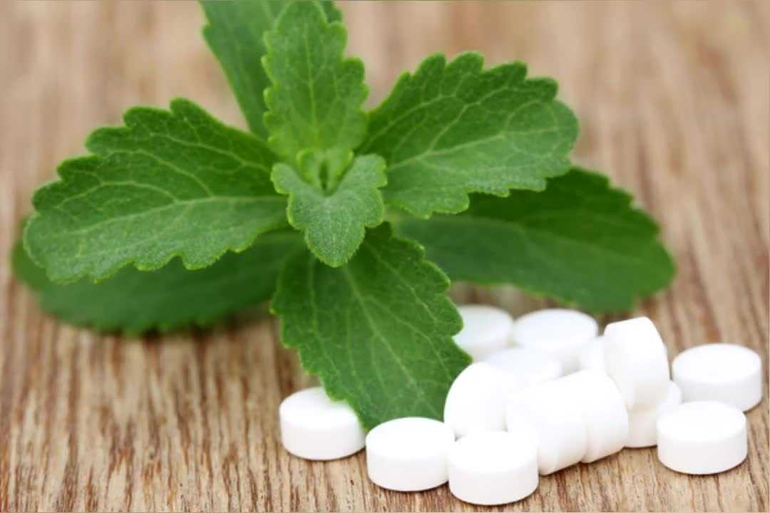 Стевия: польза, вред, состав, калорийность, противопоказания и отличие от сахара