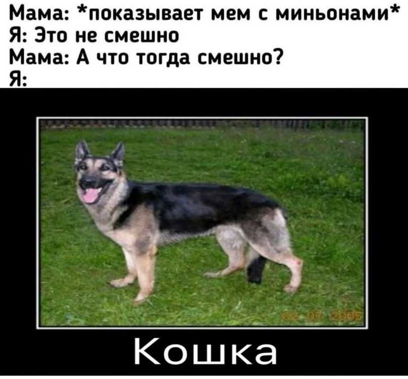 Почему некоторые люди постоянно шутят: причины и особенности характера