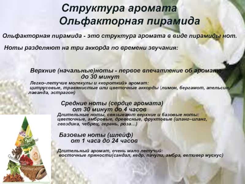 Пирамида ароматов в парфюмерии
