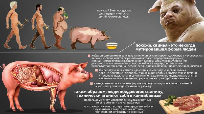 Почему возникает желание съесть человека? – простыеинструкции