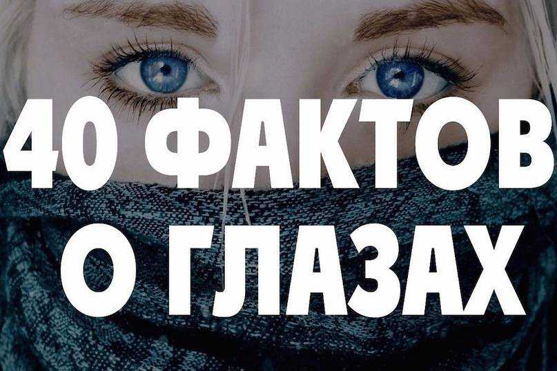Какой цвет глаз сегодня считается самым редким, необычным и самым распространенным, популярным в мире у людей: статистика в процентах, виды и оттенки цветов глаз, топ-10 самых редких и популярных цветов глаз, фото