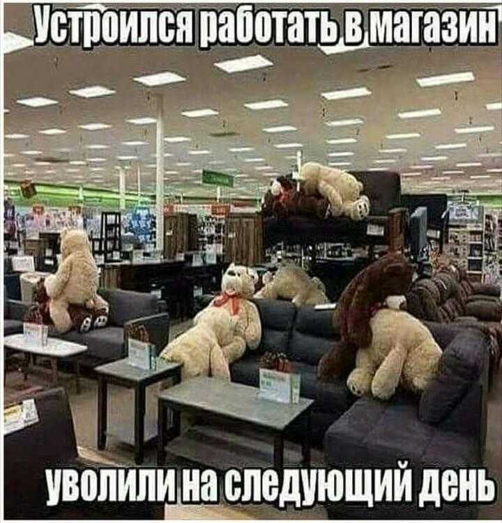 Как поставить на место начальницу или начальника?