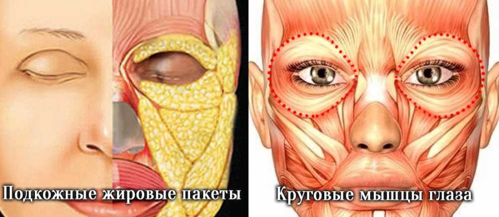 Липолитики для лица. виды липолитиков и их опасность.