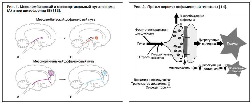 Дофаминовая зависимость как избавиться от зависимости