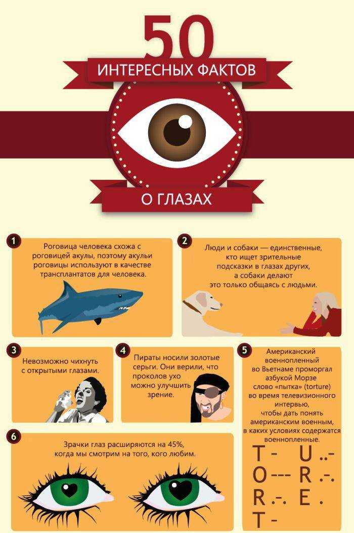 Какой цвет глаз сегодня считается самым редким, необычным и самым распространенным, популярным в мире у людей: статистика в процентах, виды и оттенки цветов глаз, топ-10 самых редких и популярных цветов глаз, фото — женские советы