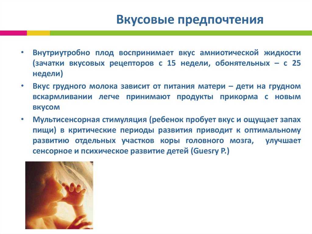 Из этого материала ты узнаешь, почему список любимых продуктов может со временем измениться, как на предпочтения влияет генетика и культурные особенности страны