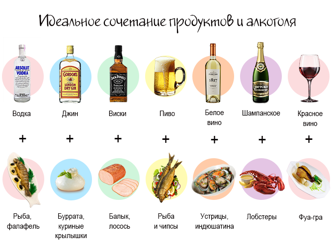 Коктейли с коньяком: что будет если смешать алкоголь с шампанским, яблочным соком или мороженным, простые рецепты миксов с колой и молоком