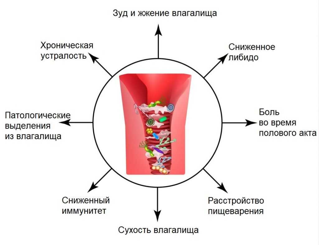 Омоложение там… основное значение коллагена для женской интимной зоны