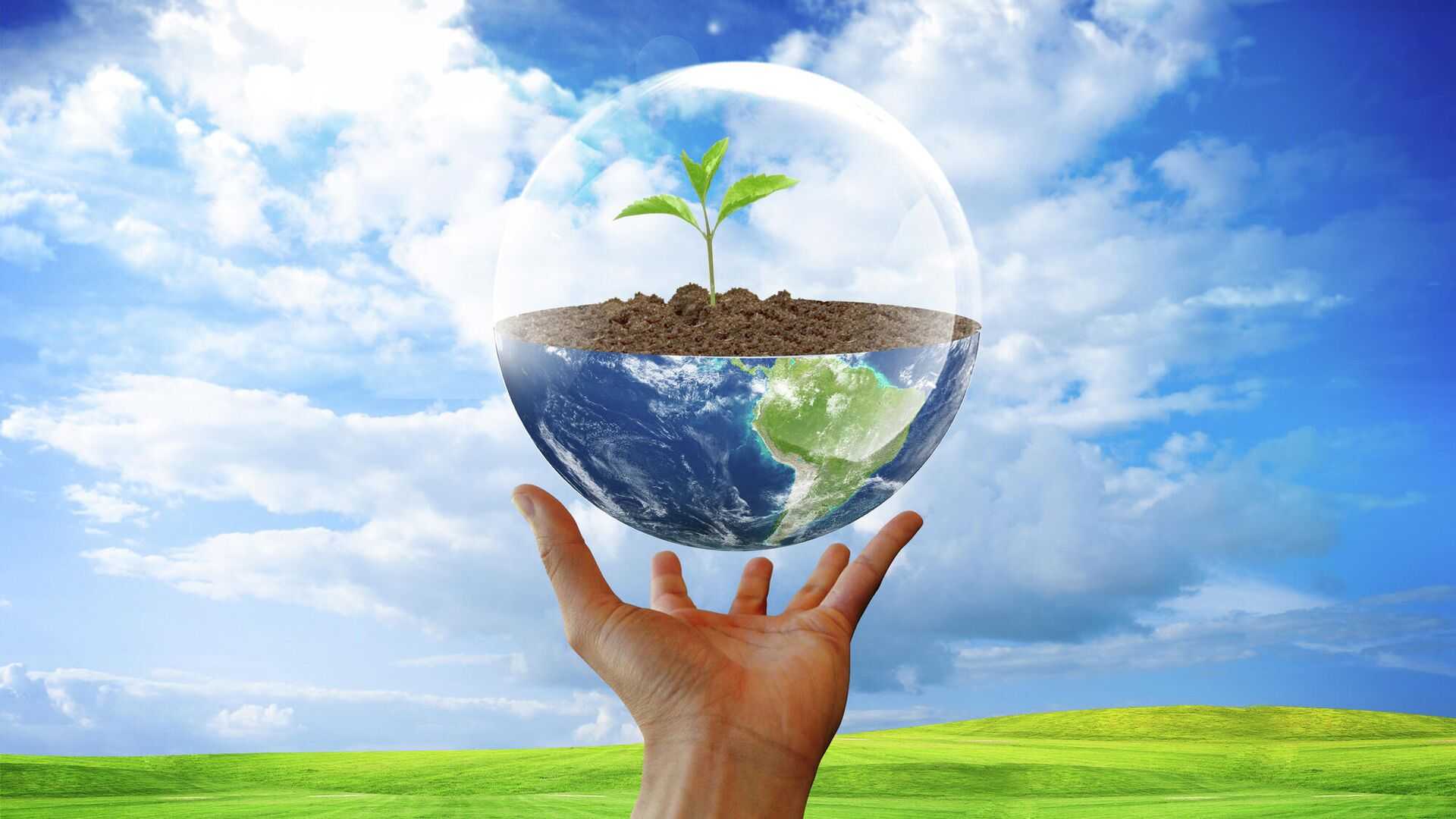 11 eco-friendly beauty products amazon shoppers swear by for 2022: face halo, cerave, salt of the earth, more | hello!