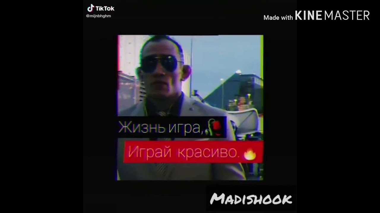 Цитаты и фразы из тик ток: подборка из 300 штук