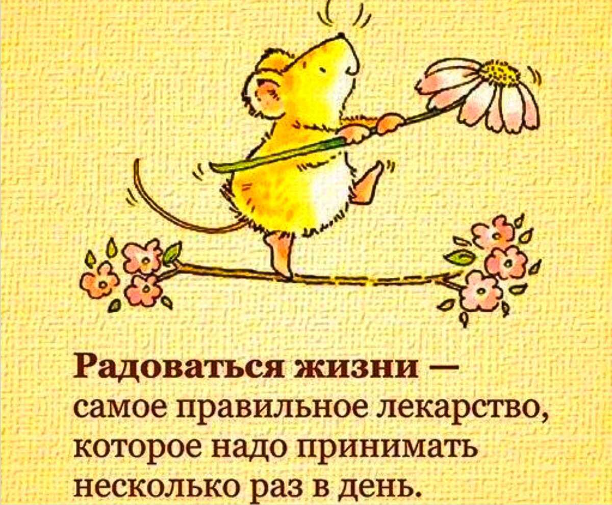 Николай сысоев