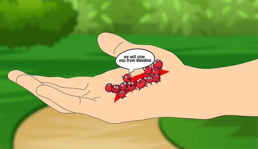 Blood play