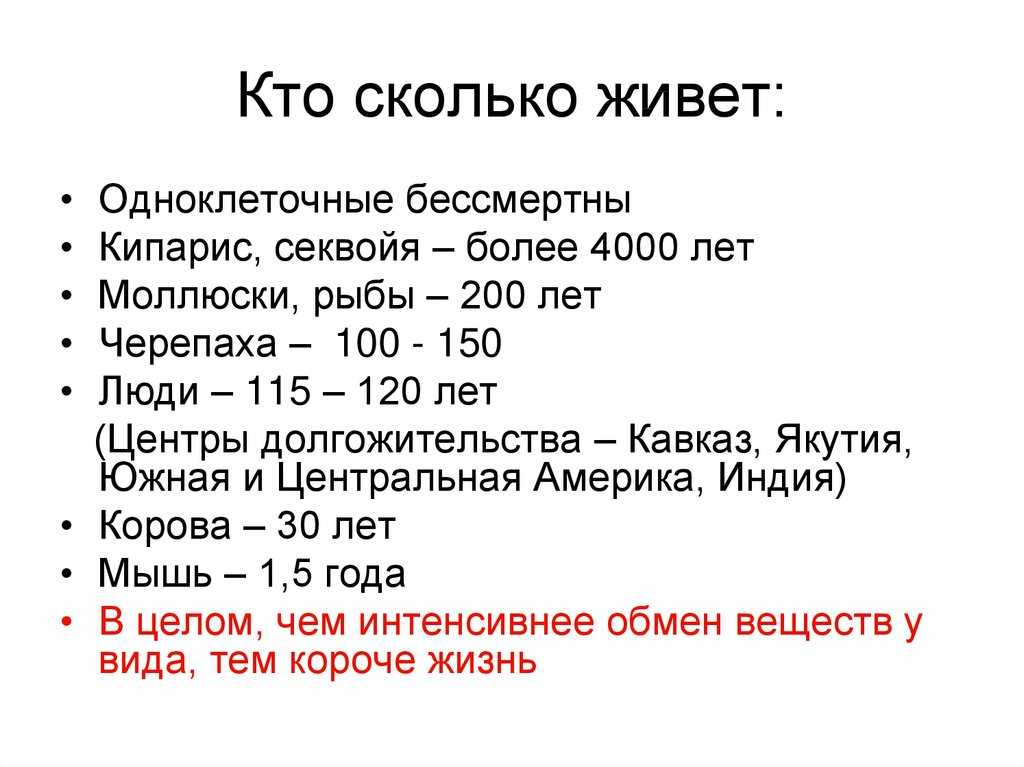 Почему женщины живут дольше мужчин? | исследования, социум