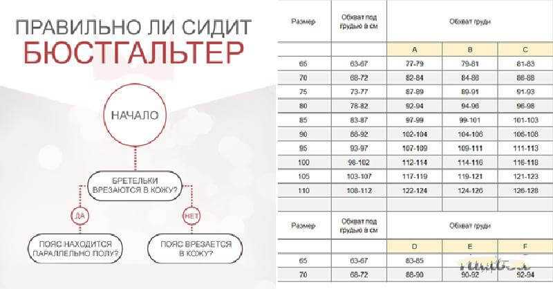 Как выбрать бюстгальтер для большой груди: 10 фактов, о которых вы не знали