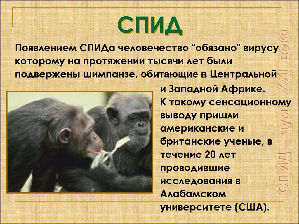 Вич в россии: статистика инфицированных до 2019, 2020 года