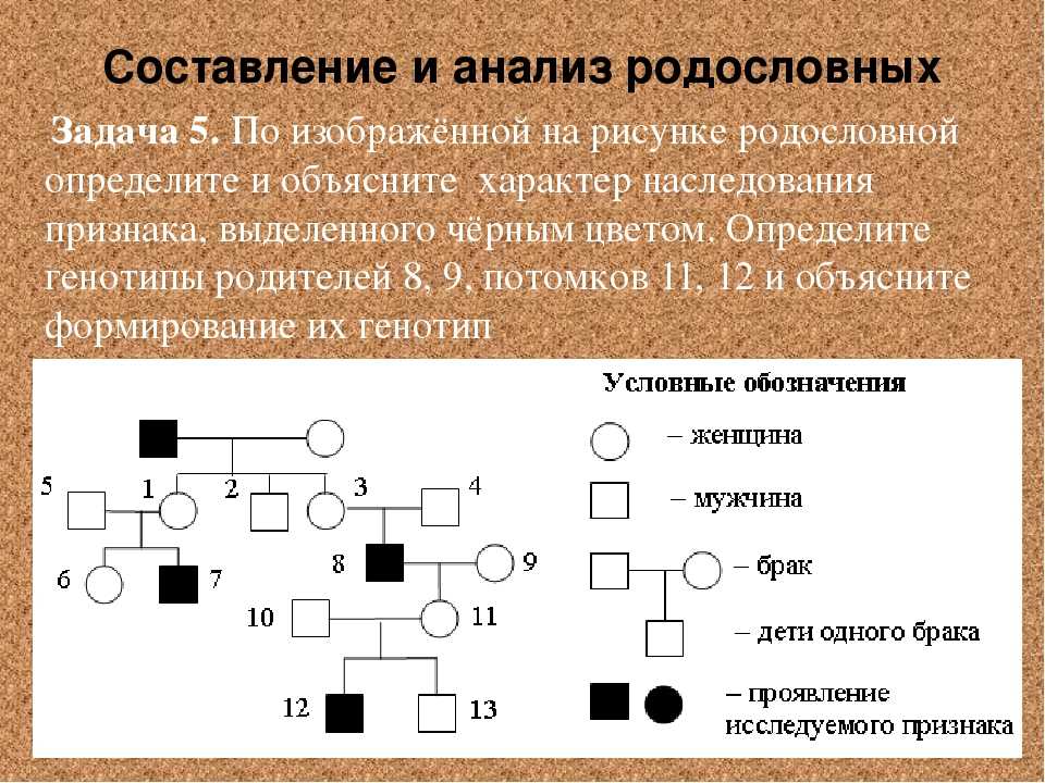 Старение по частям: ученые создали тест на биологический возраст отдельных органов – он выявляет риск ранней смерти