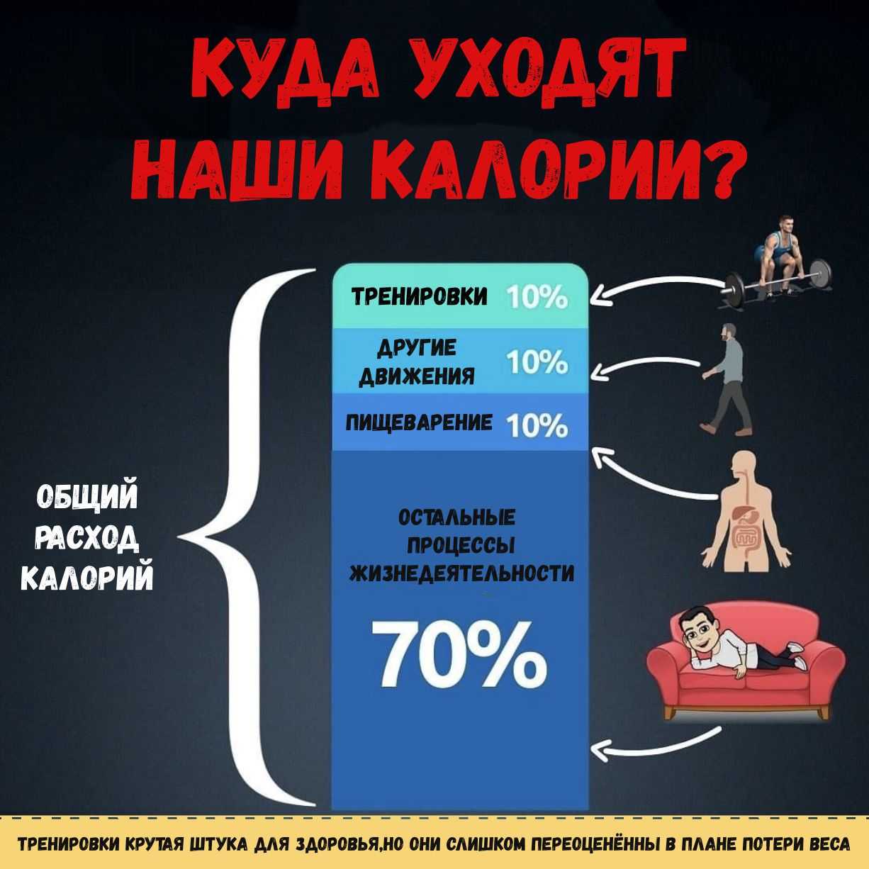 Дефицит калорий для похудения – регулирование потребления энергии из пищи для снижения веса