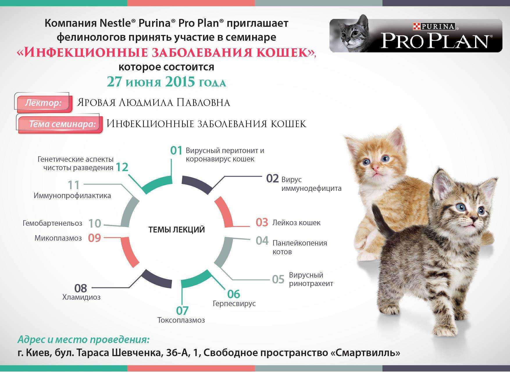 Основные инфекционные заболевания у собак: список самых распространенных инфекций (симптомы, диагностика, лечение) | ваши питомцы