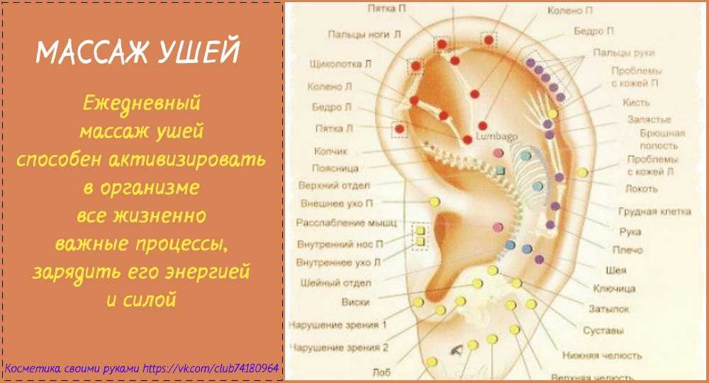Из этого материала ты узнаешь, как правильно делать массаж ушей и о его полезных свойствах: от снятия стресса до избавления от головной боли и мигрени