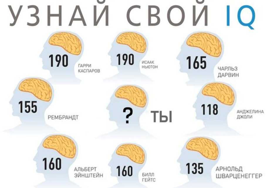 13 неожиданных признаков того, что вы очень умны :: инфониак