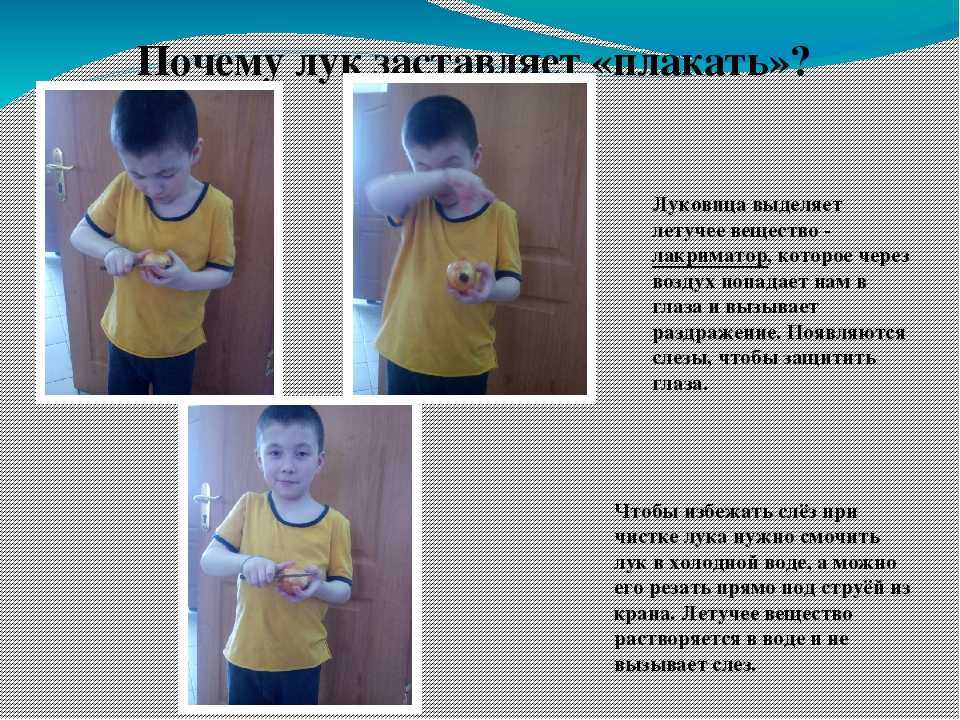 Что делать, чтоб не плакать от лука во время чистки: советы и способы от слёз