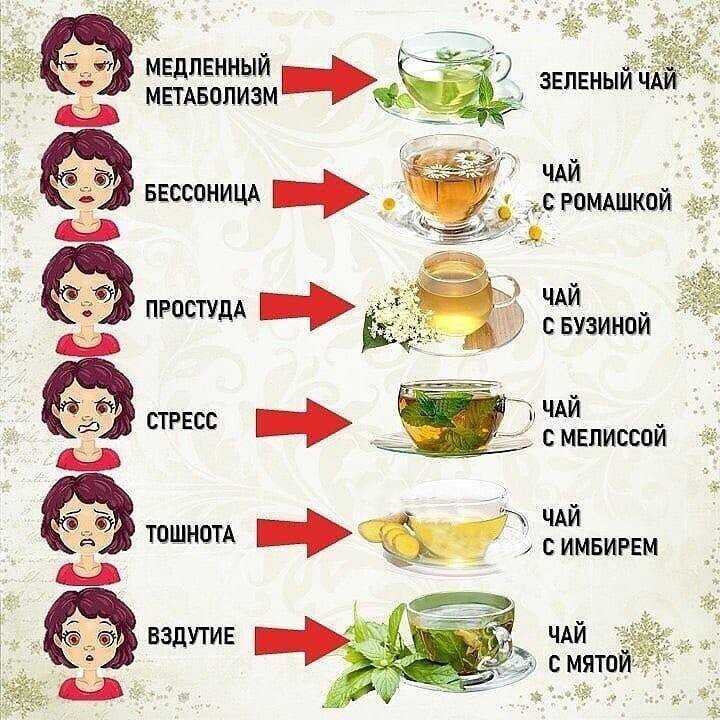 Как правильно дегустировать пиво - alex brewer - всё для домашнего пивоварения