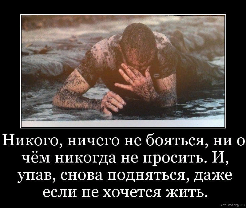 Ученые подтвердили: жизнь после смерти существует