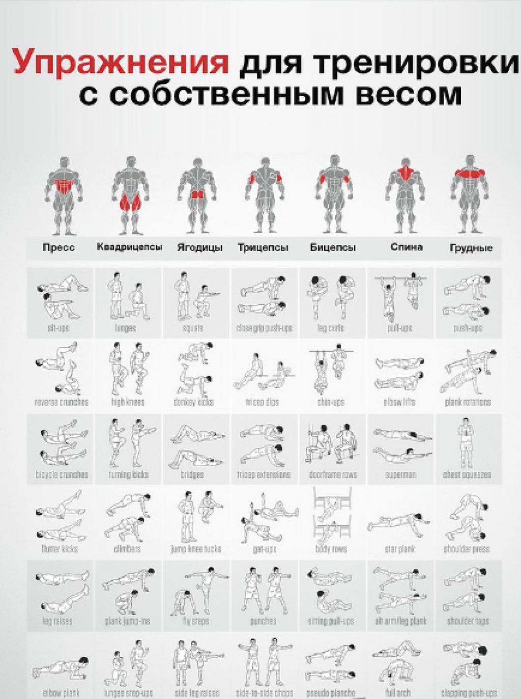 В какое время лучше тренироваться? спорт утром — плюсы и минусы