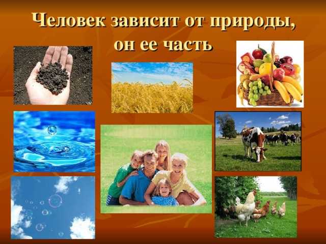 "каково отношение современного человека к природе": топ-7 лучших сочинений 2023 года!