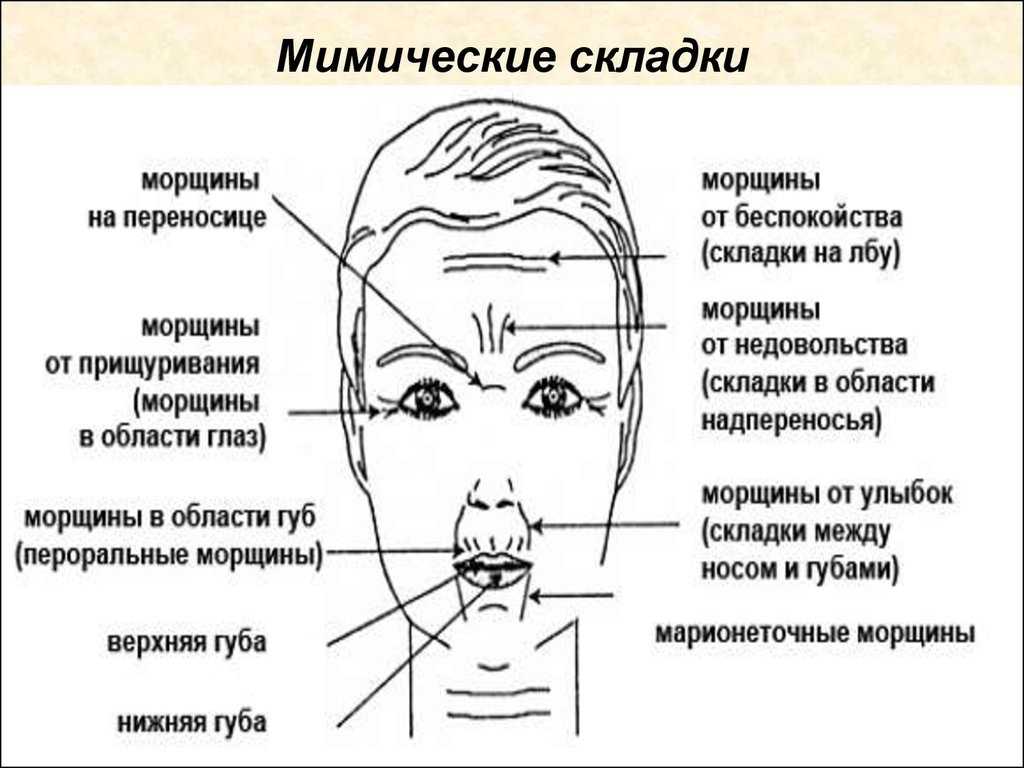 Влияние ментальности на проявление морщин у женщин. морщины на лице.
