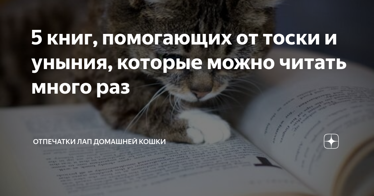Как справиться с тоской по дому, находясь за рубежом ‹ go blog | ef blog russia