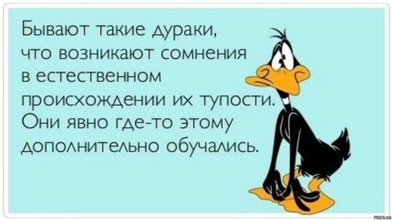 Муж говорит, что я недостаточно умная и начитанная - 4 совета психологов, консультации