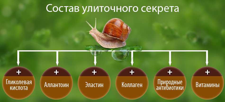Эскарго