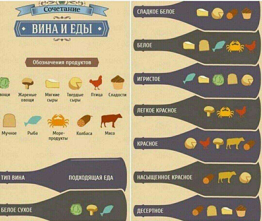 Закуски к вину — сырные, мясные, как выбрать и с чем пить