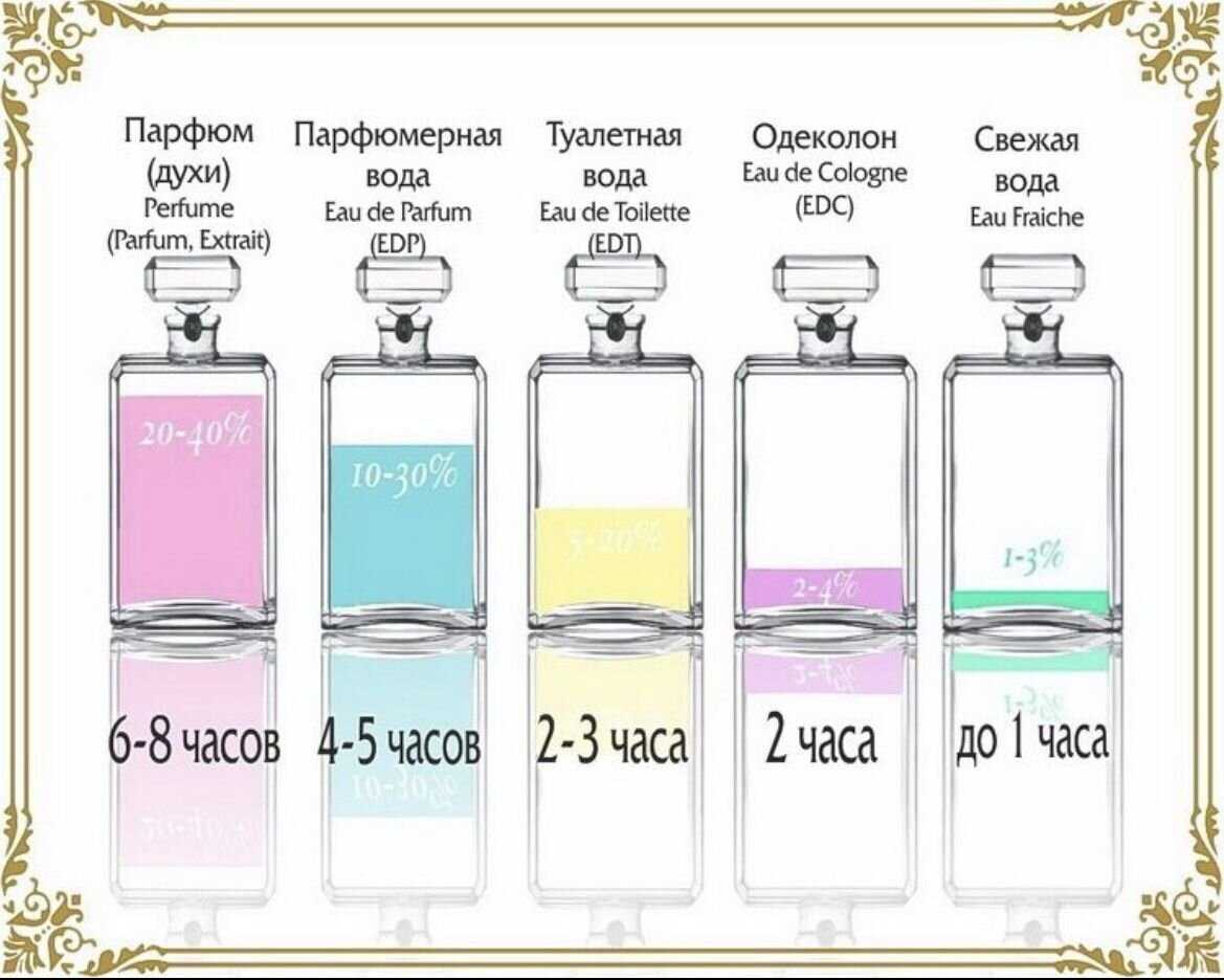Акация белого цвета (робиния): описание, фото дерева, применение, размножение, целебные свойства
