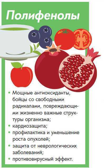 Полифенолы: что это такое, виды, польза, продукты