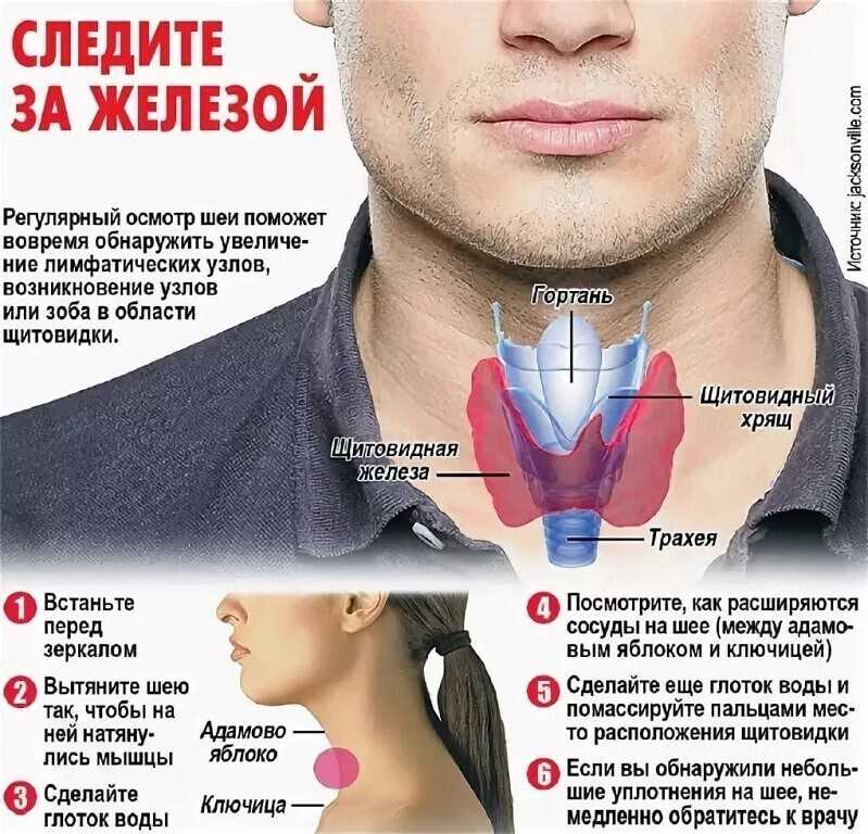 Карла диаз: биография. чем занимается сейчас звезда сериалов «клон» и «семейные узы»