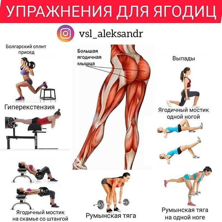О ягодичных мышцах: всего 1 упражнение для подтяжки и упругости попы