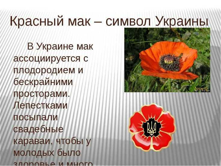 Названия французских духов популярных в 80 годах. зарубежная парфюмерия советского союза