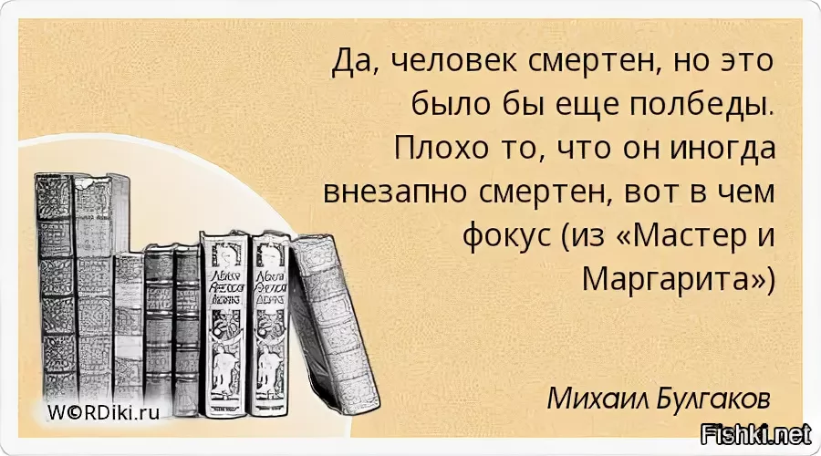 Что такое гениталии и как устроена репродуктивная система человека