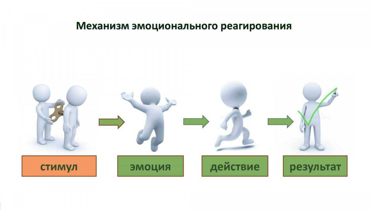 Эмоциональный интеллект: 4 основные составляющие, способы развития, модель способностей