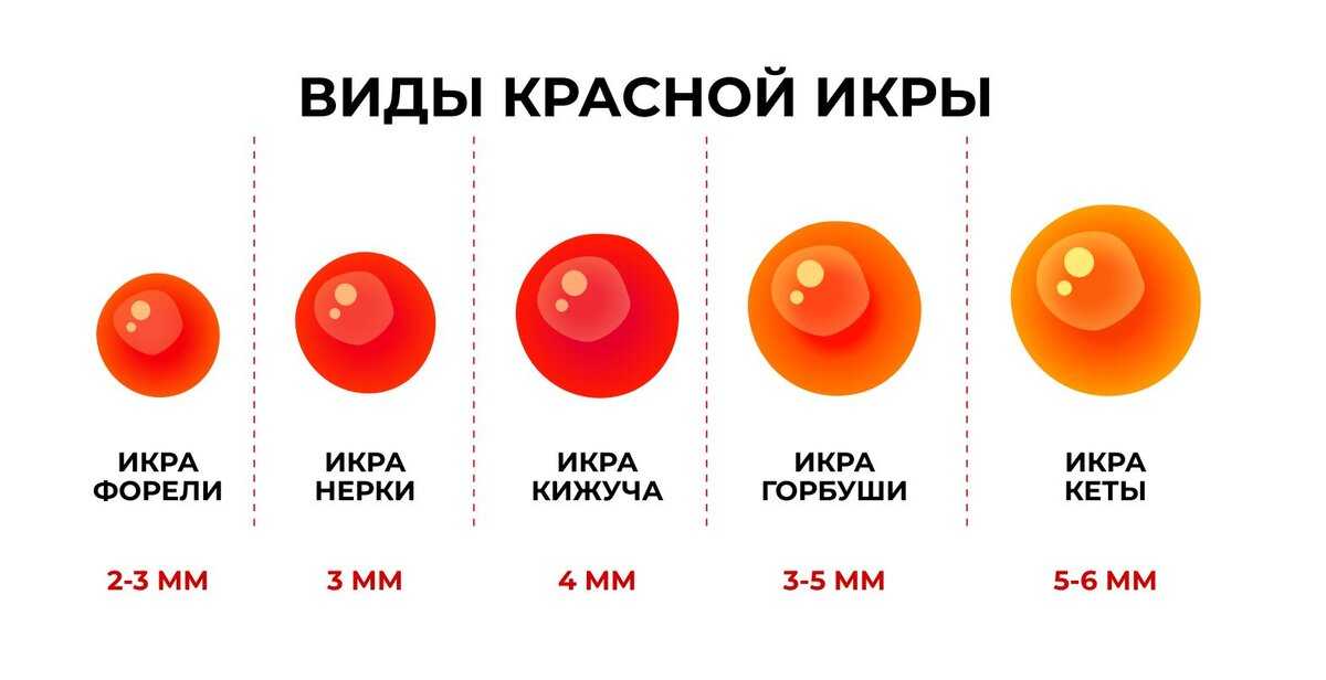 Как отличить черную икру от подделки