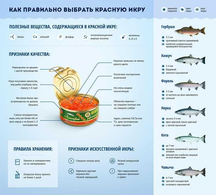 Вместе с Русским икорным домом разбираем, где покупать икру, как ее выбирать и правильно дегустировать