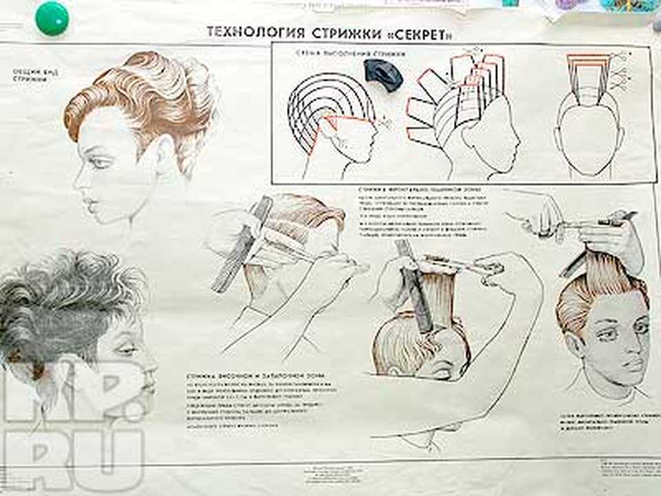 Модные стрижки каре 2023/2024: все виды и 100 фото