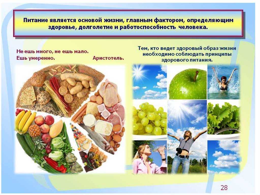 Нутрициолог