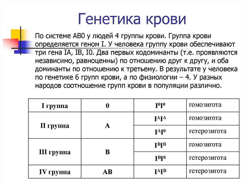 Чего вы могли не знать об интеллекте | блог 4brain