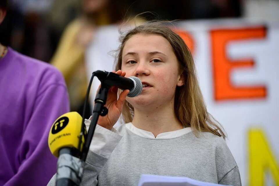 Интернет, экология и 16-летняя девочка: кто такая грета тунберг